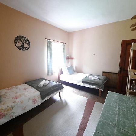 Stara Hisa Apartment Log Cezsoski Luaran gambar