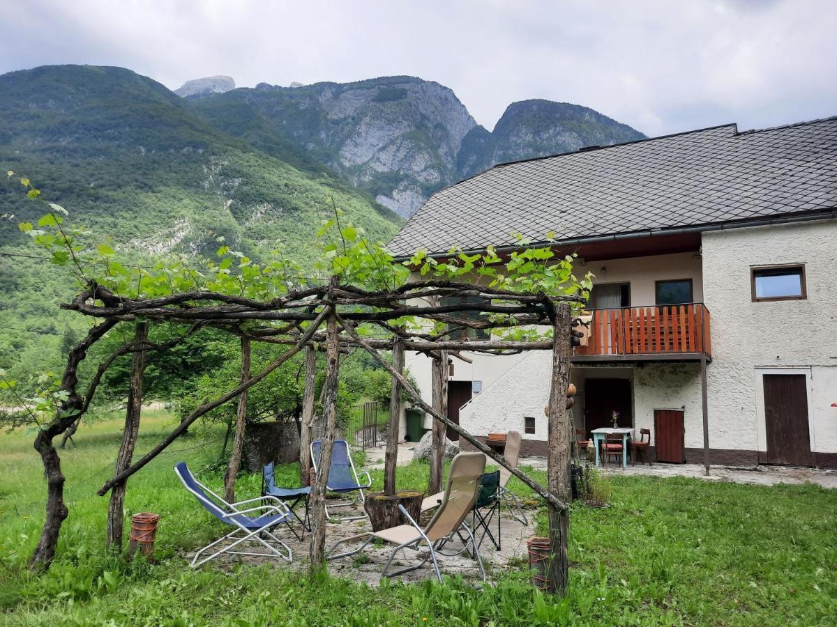 Stara Hisa Apartment Log Cezsoski Luaran gambar