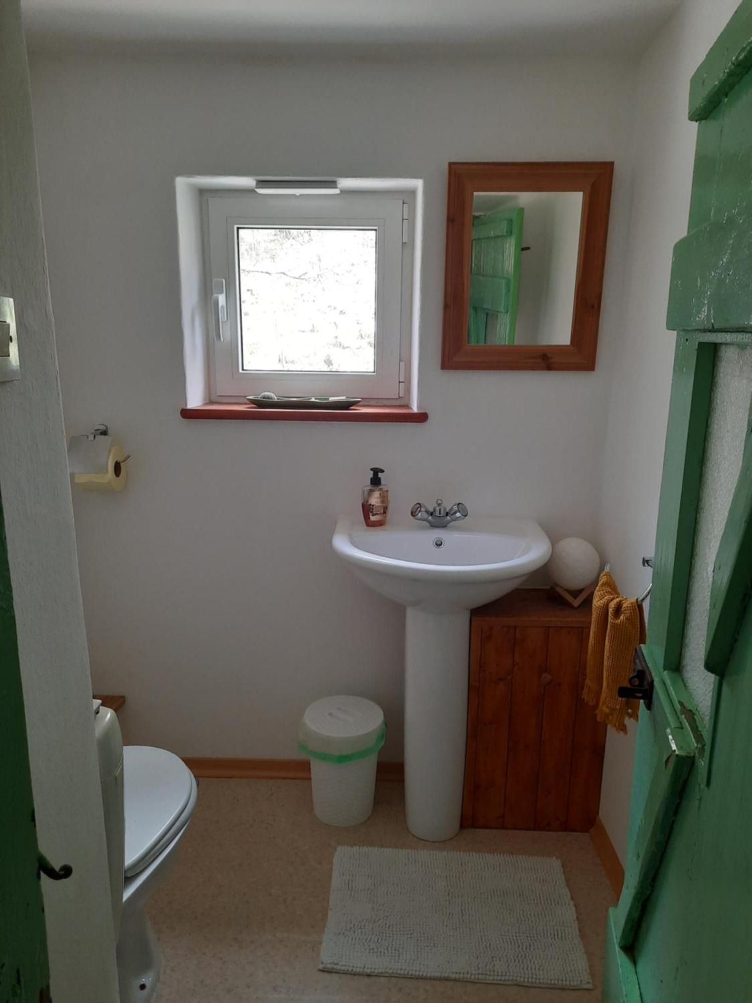 Stara Hisa Apartment Log Cezsoski Luaran gambar